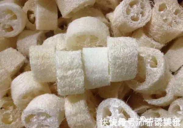 腰肥|君子兰肥到流油,长寿花开不断,原来他用了1个小方法!