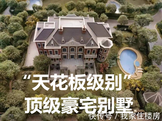 法拍房|“史上最贵法拍房”房主:受别人牵连,别墅被拍卖,公司也破产!