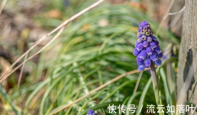 前任|桃花浓浓，喜你成疾，旧情依依，挽回前任，回心转意