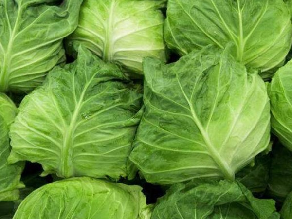 孩子|常吃4种菜比喝牛奶还补钙,孩子常吃个子长得快,你知道几个