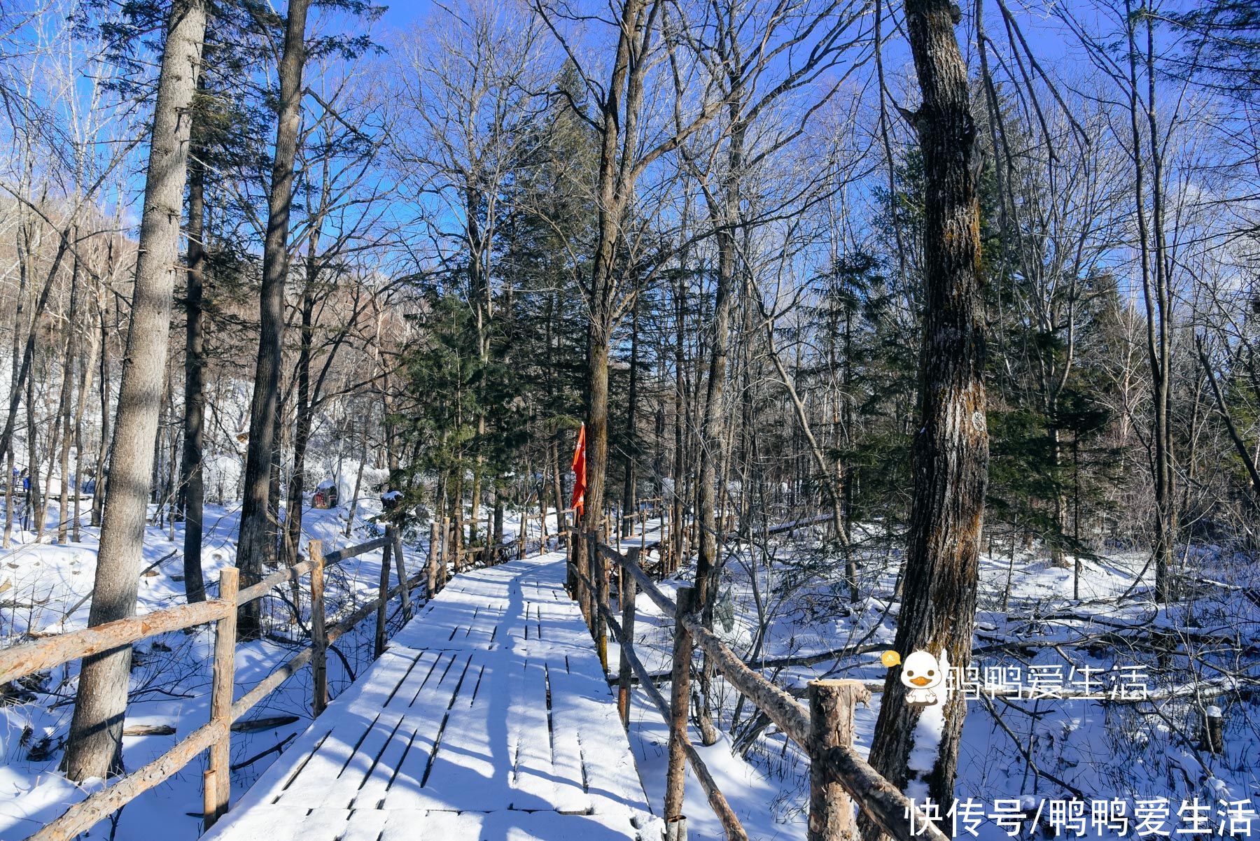 风车|雪山上风车像童话世界，冰凌谷徒步穿越，自由行游客却容易错过