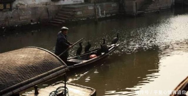 水乡古镇|江南古镇都想去的地方,历史悠久,景色优美是一个好去处