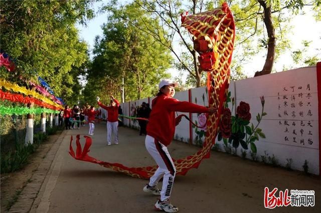 河北肃宁西泊庄村：牡丹花开迎客来