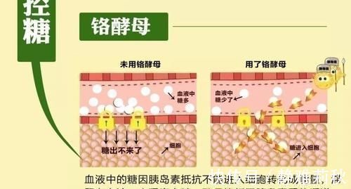 一日三餐|糖尿病人要多吃菜，多吃是指多少4种蔬菜“降糖王”不能错过