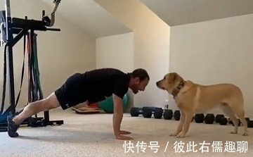 做俯卧撑|健身的最佳拍档，你绝对想不到！