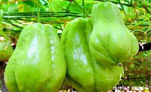 辣椒素|会吃的人最长寿,3种食物不能少,养心安神,皮肤越来越细腻!