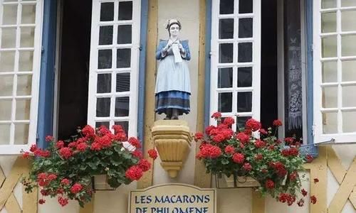 你家窗台还没变花园？只因缺了这6种花