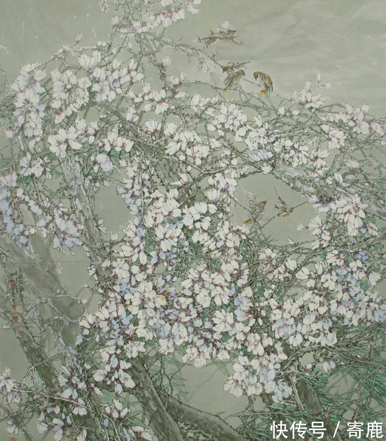 畅春!雅润天成|胡楠「花鸟画」