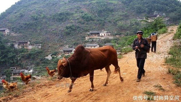 同住|全村290多人同住在一个岩洞里300多年，这个穴居村落到底多神奇