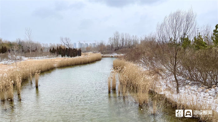 新闻记者|组图｜煮酒温茶，有雪如画 邂逅2021年末这场大雪