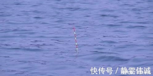 钓浮不会调漂没关系，这两种方法，会操作、懂思路就能上鱼