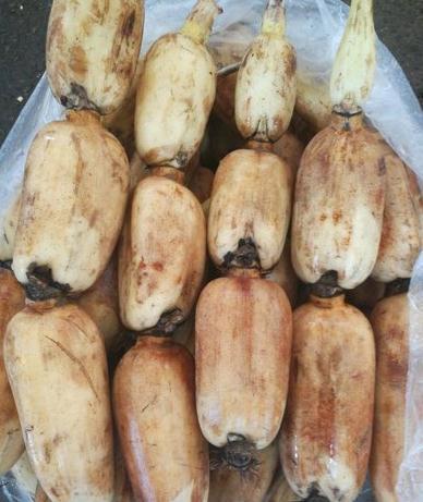 养胃|秋季进补,多给家人吃着4种食物,营养美味又便宜,健康养胃!