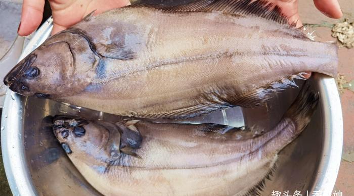 鱼肉|比目鱼肉嫩刺少，富含脑黄金，孩子常吃聪明视力好，清蒸最美味