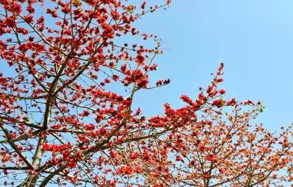 走，一起来看深圳的“花花世界”