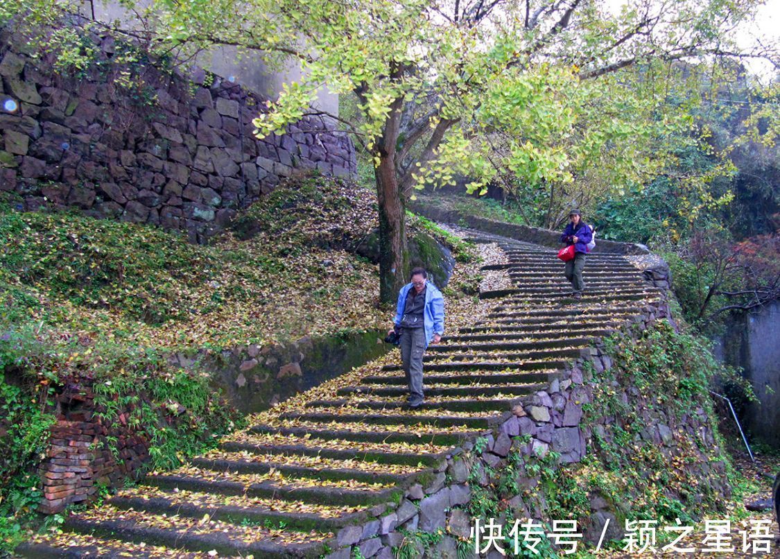 茅镬古村|宁波最佳赏秋环线游线路，所有赏秋线路中的no.1