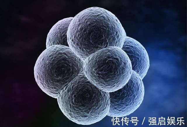 时期|你知道男性精子高质量时期吗这时候生的孩子最聪明,最健康