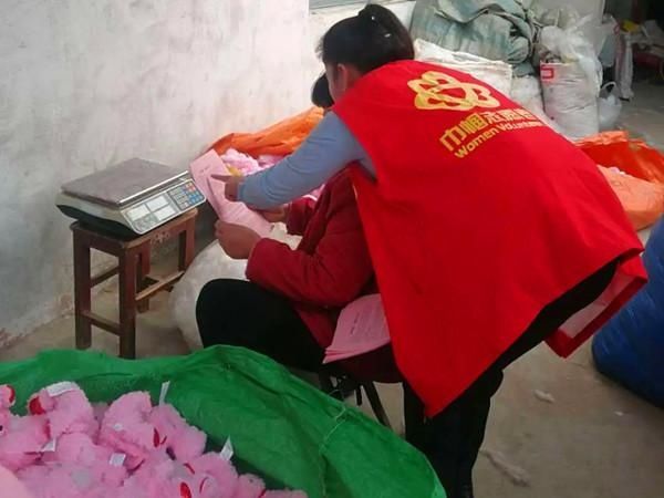 庭院|古邵：“美丽庭院”创建 巾帼在行动