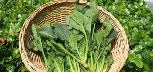 皱纹|女性担心老太快，可以多吃3种食物，淡化皱纹、美白护肤！