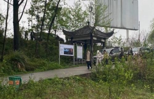 收视率稳了！张艺兴《向往5》学开拖拉机，怕是来抢彭昱畅的饭碗吧