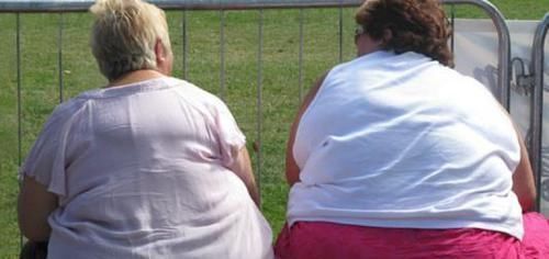 苦丁茶|有5种食物是降血脂“能手”,清除坏胆固醇,调整血脂状态