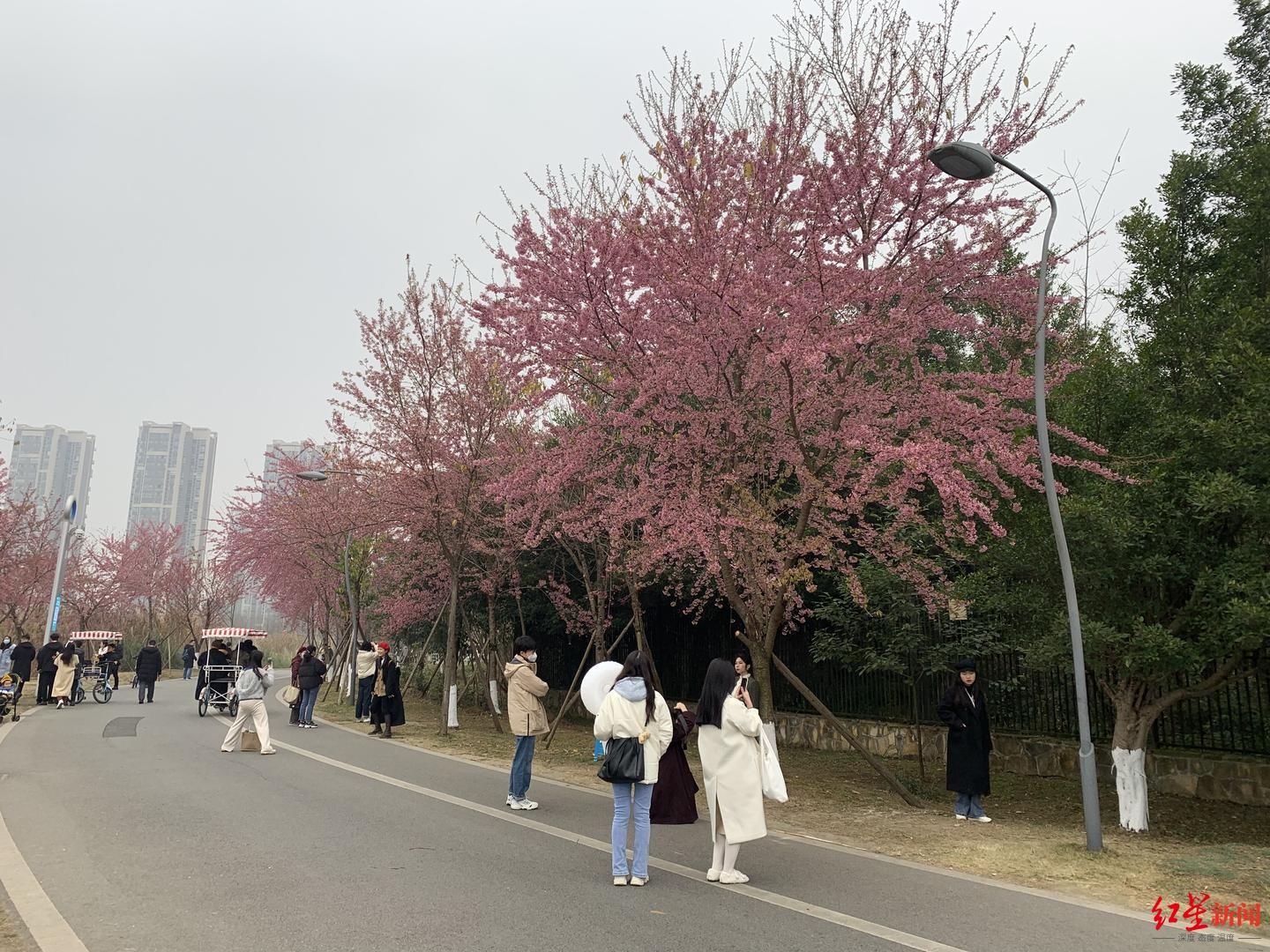 成都熊猫基地|环城生态公园成“打卡”热点！121个特色园逐步呈现，“遛娃”不再选择难