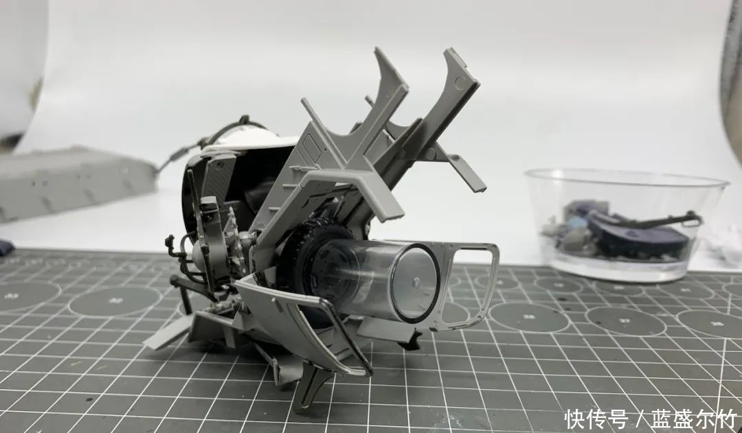 泸州水产批发商——大黄!