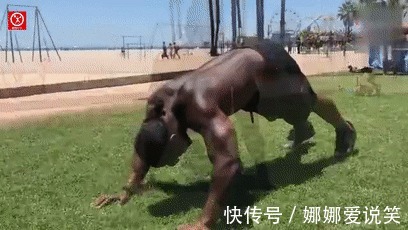 动作|12个俯卧撑变式动作,从易到难,学会了你就是健身达人