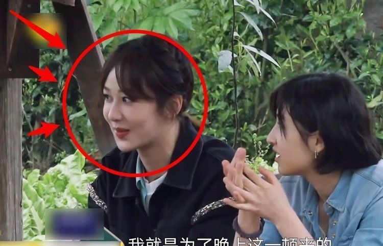 杨紫直言是冲着晚饭来录节目的，听到黄磊的回应，整个人都不好了
