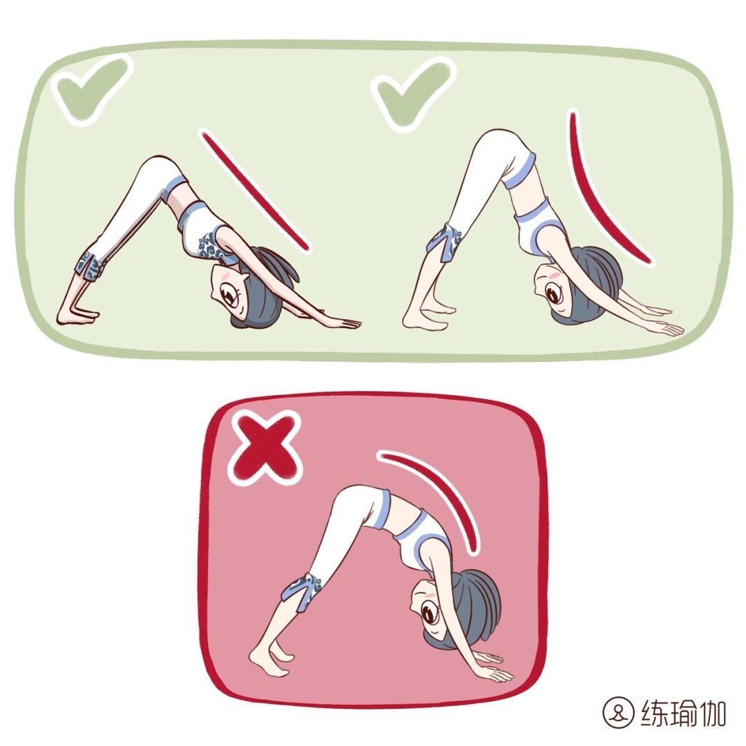 身邊人|每天彎彎腰，胸挺拔了，臀翹了，連氣質都更好了