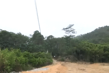 美食｜几位主持人齐齐抬竹子，难道要改行做木工？