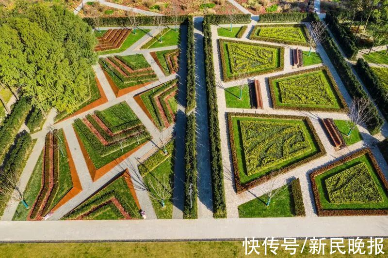 江南园林|超13万人次打卡！这座上海市中心的江南园林玩明白了“流量密码”