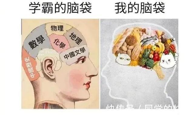 |翻开前信誓旦旦:这一定是米奇 冷段子2023