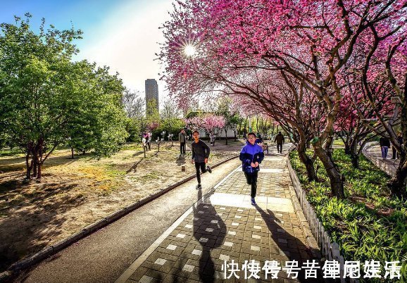 马拉松|坚持每天跑步和隔一天跑一次的人,哪一个减肥更有利?