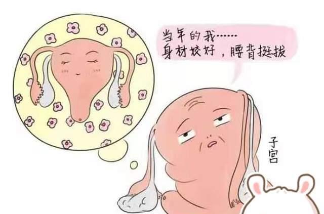 绝经年龄|早生孩子和晚生,女性的子宫状态会有什么不同?一张图告诉你