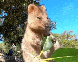 |搞笑GIF:今天和女朋友出门忘记带药怎么办