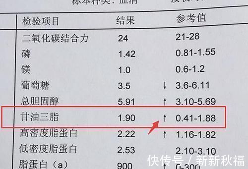 玉桑清茶|6味中药,传承了500年,开水一烫,血液不再粘稠,血脂血栓全溶光