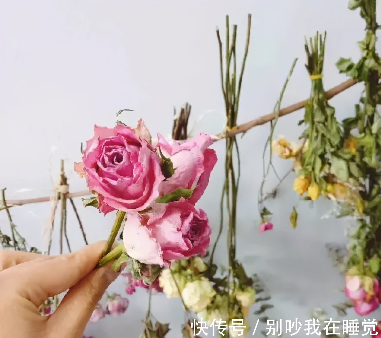 养花，花期短？教你一个小技巧，延长花期一整年，艳丽开不败