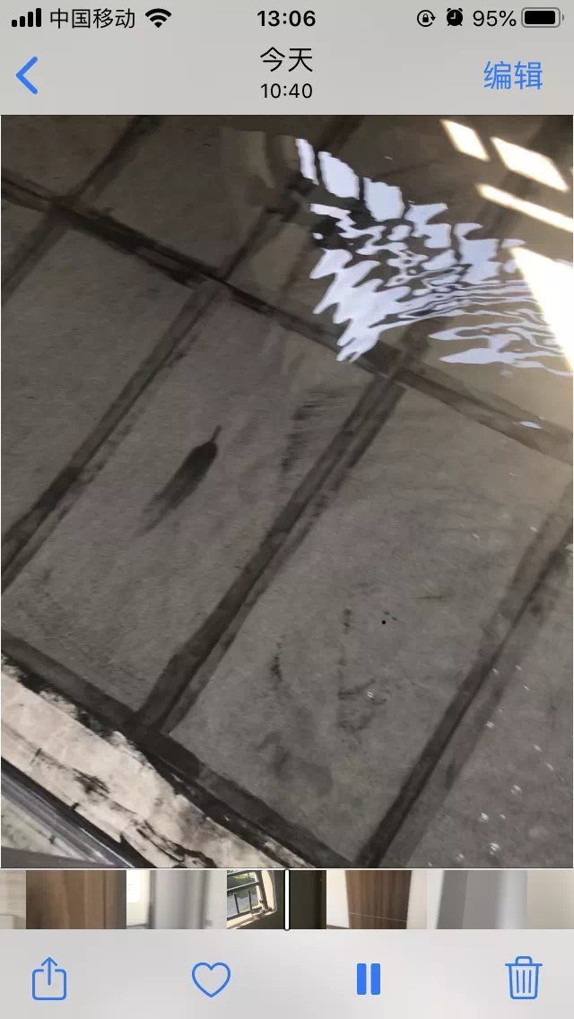 绿化|购房降价打折!周边配套待建!你关心的问题回复都在这了