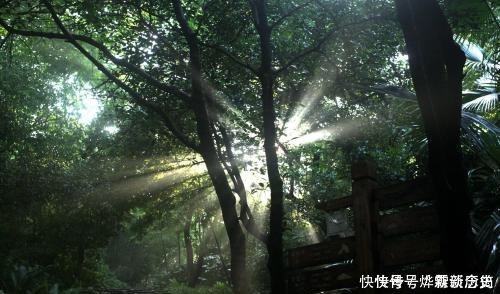 李商隐入山访高僧,顿悟后写了一首诗,读懂这首诗,就读懂了人生