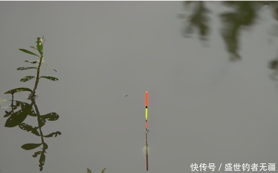 手把手教你拉饵的正确方式！难怪没鱼总不吃饵——盛世三渔
