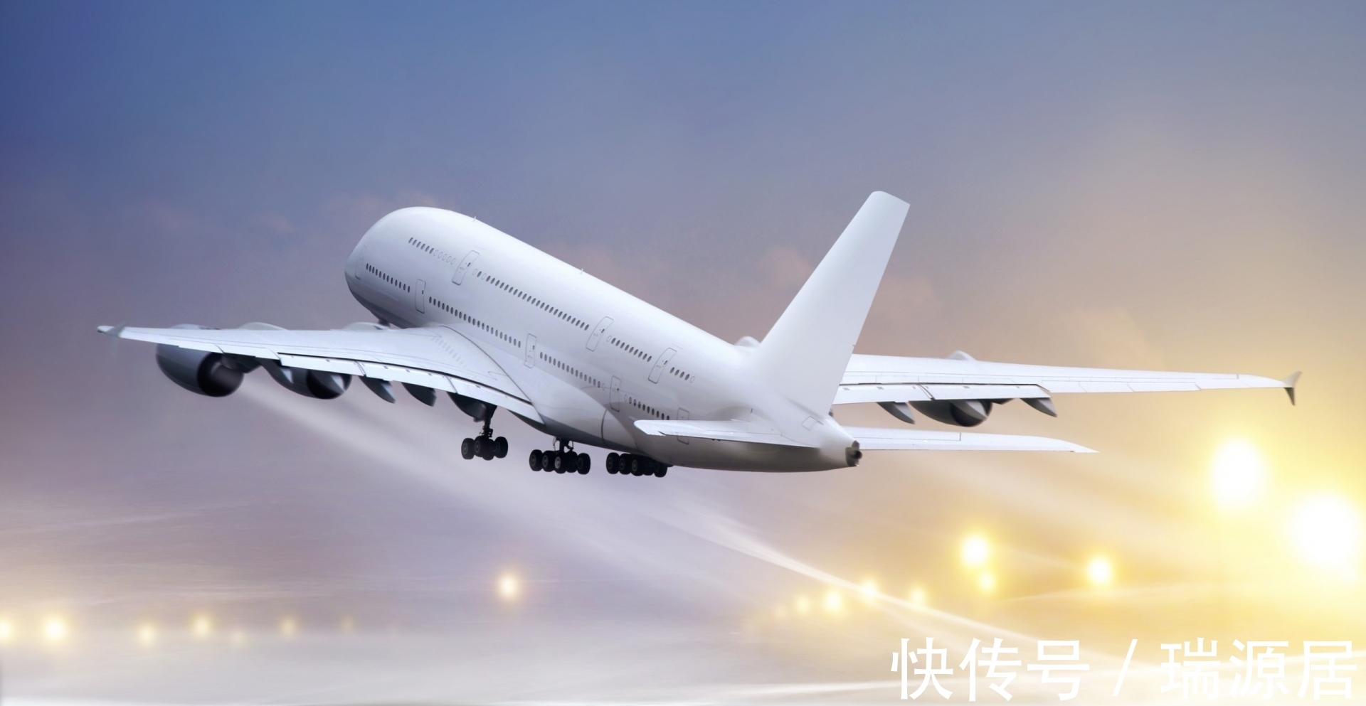 特丽莎|有趣的冷门小知识分享，你们知道世界上最贵的鸡吗？