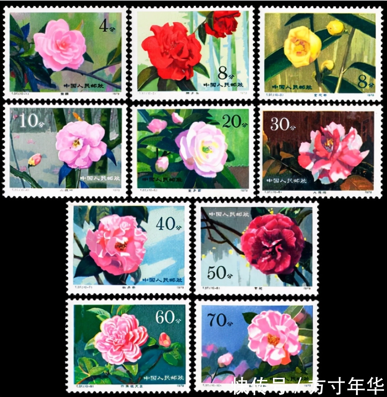 全套!这样的邮票价值11800元,题材资源已经枯竭,现在很少发行了