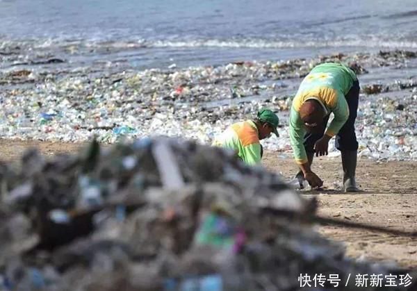 中年|中国游客“如愿”减少, 垃圾依然遍地都是, 这回谁背锅