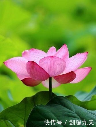 充满正能量的人生哲理语录,精辟透彻,让人幡然醒悟!