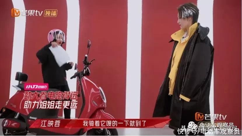 乡爱、浪姐、王牌完美收官，小刀疑成最大赢家