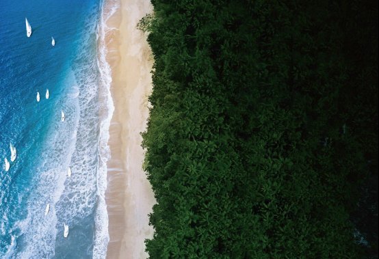 相伴|龙湖·天璞｜捻一缕清风，与自然相伴，诉说四季更替的耳语