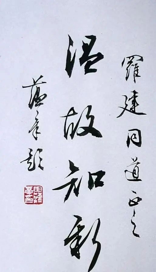 书体#以楷书名世的田蕴章,其行书和草书也是如此精到,比楷书更精彩