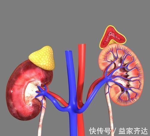 高血压|乡下土里长出来的降压药，高血压吃一个降一个，血压根本高不起来