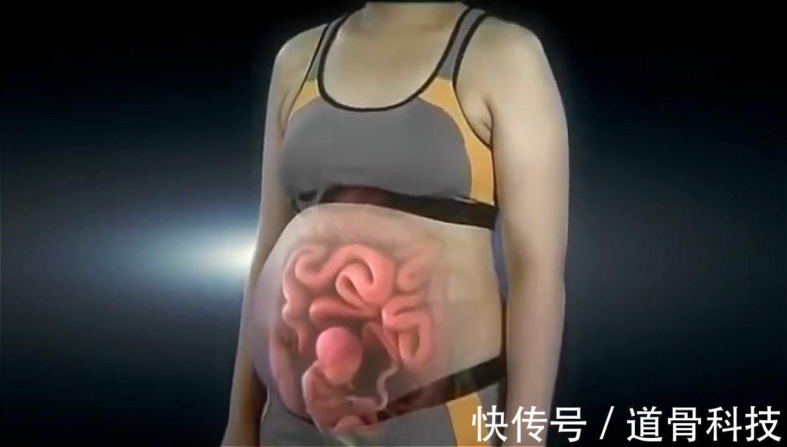 答案|孕妇的“肚量”有多大一张图告诉你答案孕妇的内脏都被挤没了