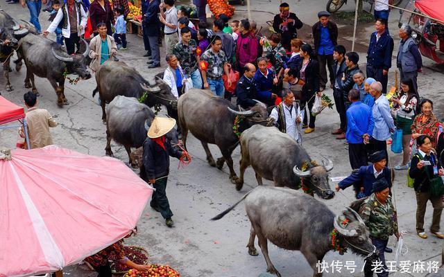  冬季|冬至快到了，“冬至在月中，卖被买耕牛”，今年冬季是冷还是暖